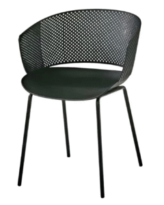 Dinning Chair