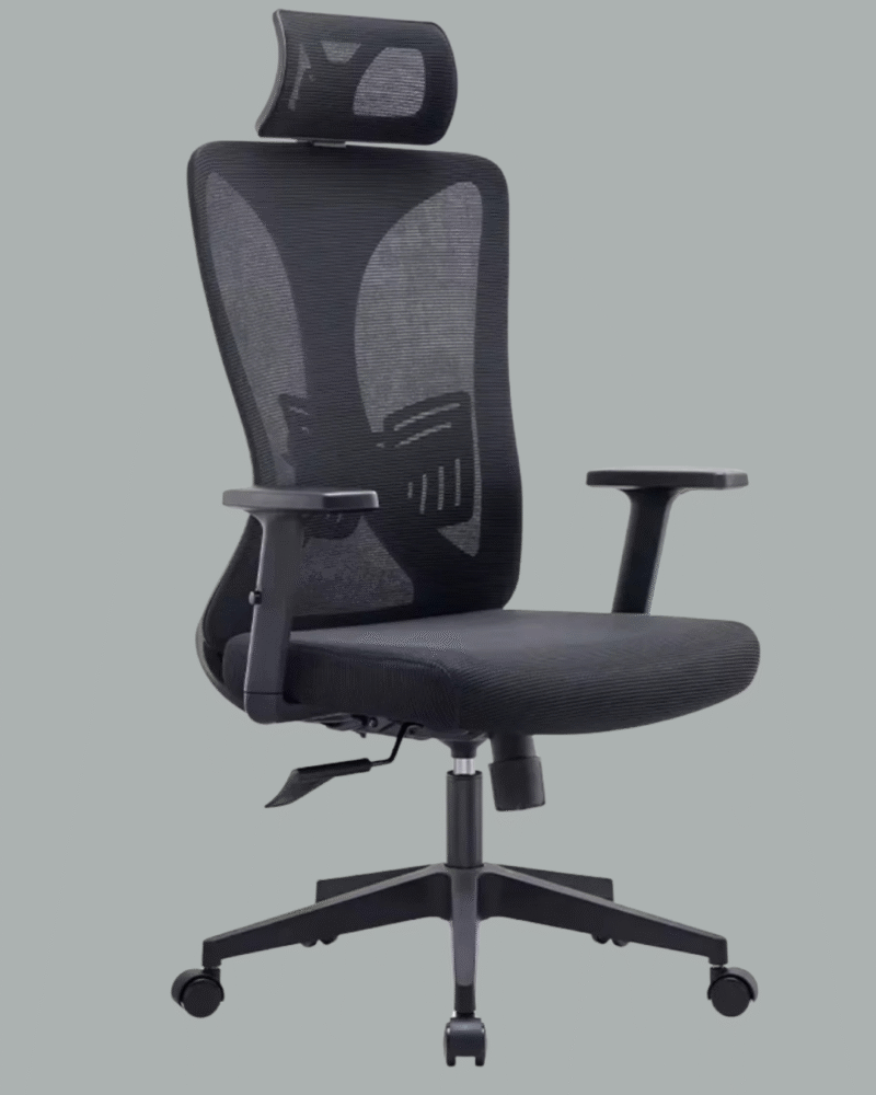 executive chair, ergonomic chair, high back chair, mesh office chair, adjustable chair, imported chair, premium office chair, reclining office chair, SitRight chair, chromed base chair