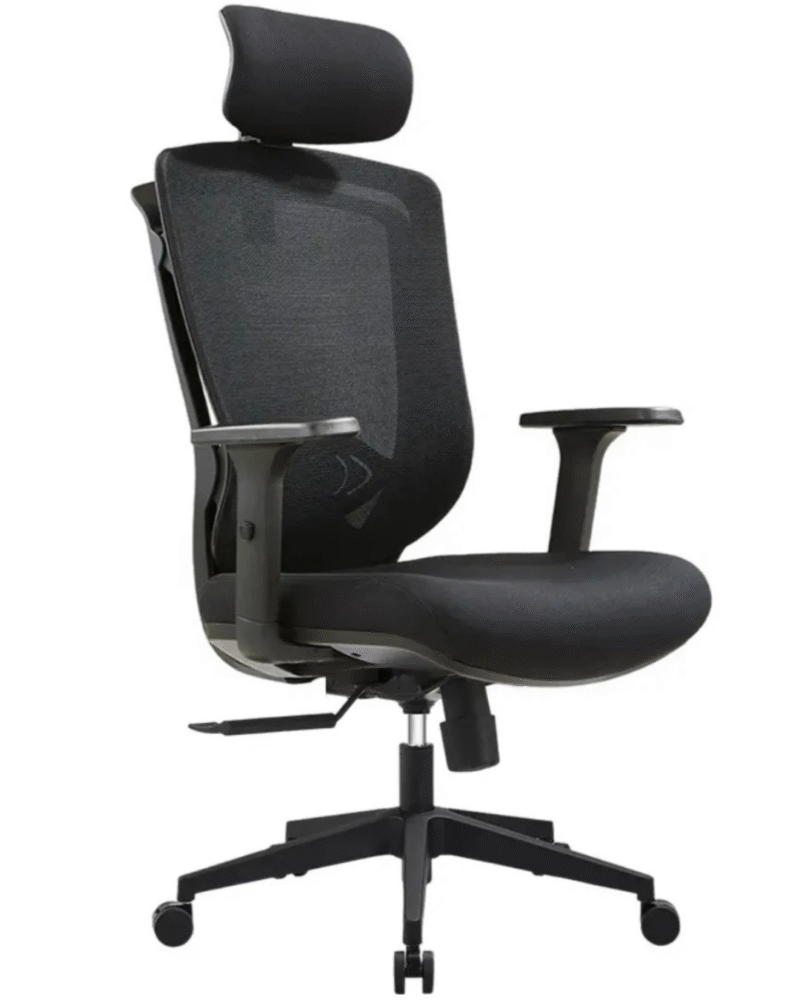 executive chair, ergonomic chair, office chair, lumbar support chair, premium office chair, imported chair, multi-lock tilt chair, SitRight chair, comfortable chair, work from home chair